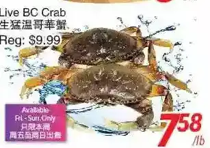 Foody World Live bc crab offer