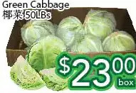 Ample Food Market Green cabbage offer