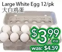 Ample Food Market Large white egg offer