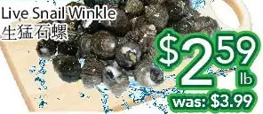 Ample Food Market Live snail winkle offer