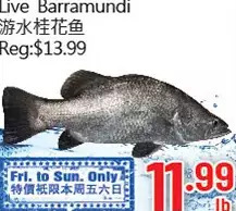 Hong Tai Supermarket Live barramundi offer