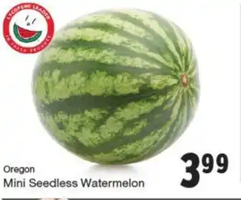 Quality Foods Mini seedless watermelon offer