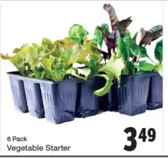 Quality Foods Vegetable starter offer