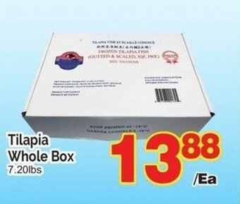 T&T Supermarket Tilapia Whole Box 7,20lbs offer