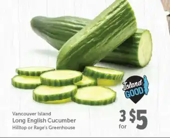 Quality Foods Long english cucumber offer