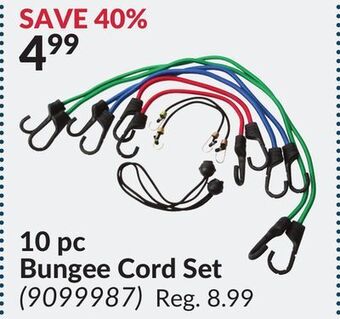 Princess Auto 10 pc bungee cord set offer