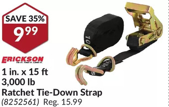 Princess Auto Erickson 1 in. x 15 ft 3,000 lb ratchet tie-down strap offer