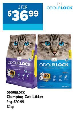 Ren’s Pets Depot Odourlock clumping cat litter offer