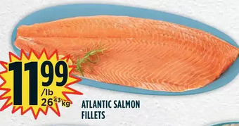 Marché Adonis Atlantic salmon fillets offer