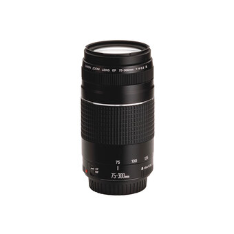 Best Buy Canon ef 75-300mm f/4-5.6 dc zoom lens offer