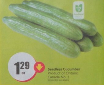 FreshCo Seedless Cucumber offer