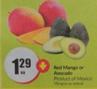 FreshCo Red Mango or Avocado offer