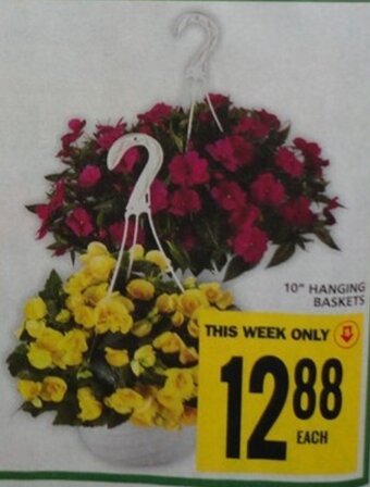 Food Basics 10" HANGING BASKETS offer