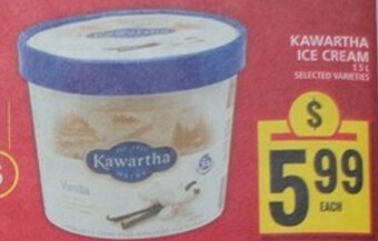 Food Basics KAWARTHA ICE CREAM offer