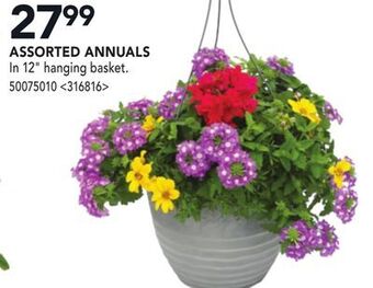 Lowe's Assorted annuals offer