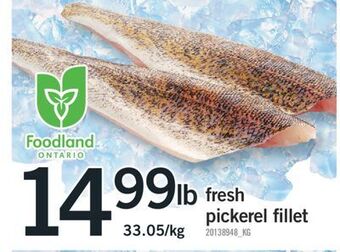 Fortinos Fresh pickerel fillet offer