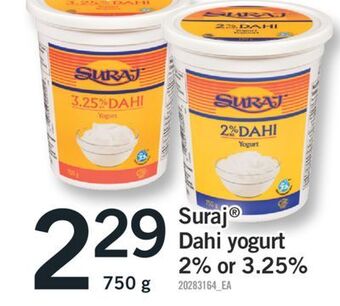 Fortinos Suraj® dahi yogurt, 750 g offer
