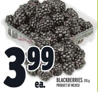Metro Blackberries offer