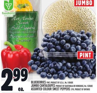 Metro Blueberries offer