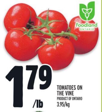 Metro Tomatoes on the vine offer