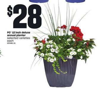 Loblaws Pc 12 inch deluxe annual planter offer