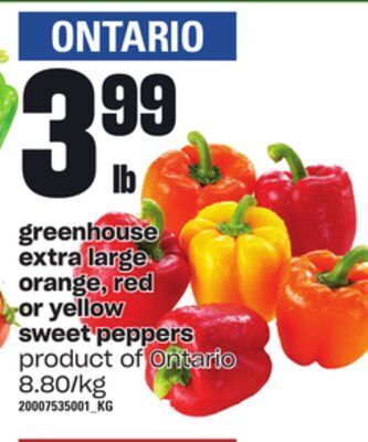 Loblaws Greenhouse extra large orange, red or yellow sweet peppers offer