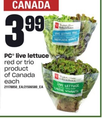Loblaws Pc® live lettuce offer
