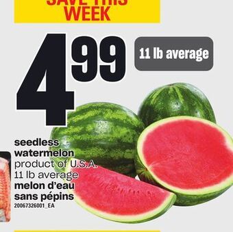 Independent Grocer Seedless watermelon, 11 lb average offer