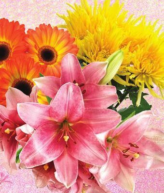 Sobeys Choose from a selection of cut flower bunches offer