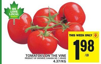 Food Basics Tomatoes on the vine offer