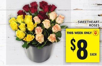 Food Basics Sweetheart roses offer