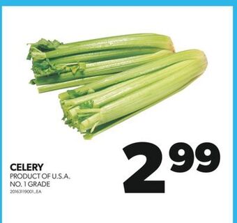 Real Canadian Superstore Celery offer