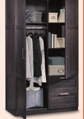 Canadian Tire Sauder 2-door 2-drawer wardrobe, cinnamon offer