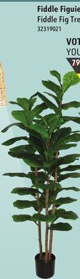 Sushi Shop Fiddle fig tree 61 silk leaves offer