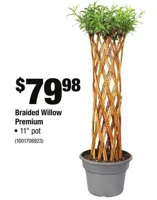 Home Depot Braided willow premium offer