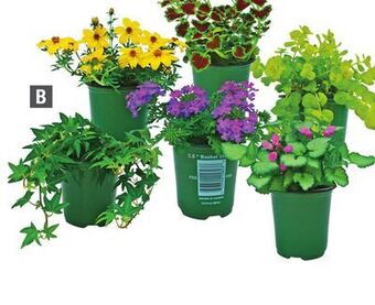 Home Depot Basket stuffers offer