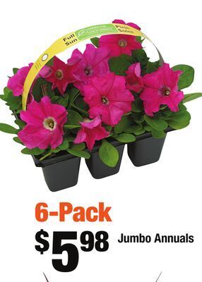 Home Depot Jumbo annuals offer