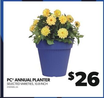 Real Canadian Superstore Pc® annual planter, 10.8 inch offer