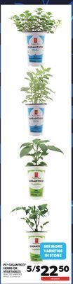 Real Canadian Superstore Pc® gigantico™ herbs or vegetables offer