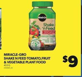 Real Canadian Superstore Miracle-gro shake n feed tomato,fruit & vegetable plant food, 453 g offer