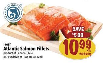 Farm Boy Fresh atlantic salmon fillets offer