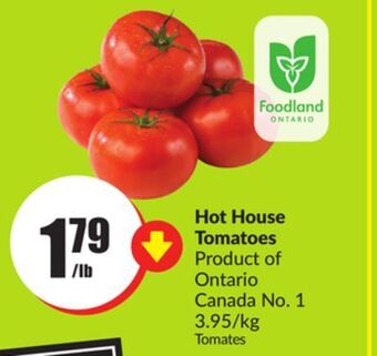 Chalo FreshCo Hot house tomatoes product of ontario canada no. 1 3.95/kg offer