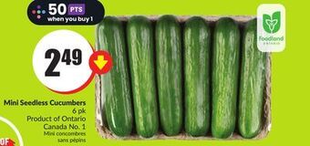 Chalo FreshCo Mini seedless cucumbers 6 pk product of ontario canada no. 1 offer