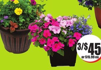 Chalo FreshCo Assorted mixed planters 11 pot offer