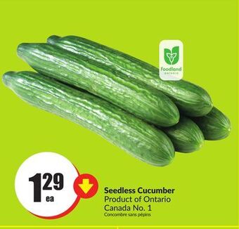 FreshCo Seedless cucumbers product of ontario canada no. 1 offer