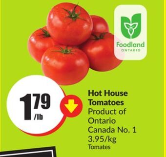 FreshCo Hot house tomatoes product of ontario canada no. 1 3.95/kg offer