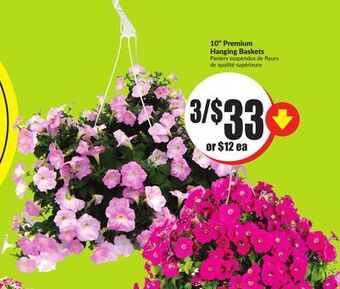FreshCo 10 premium hanging baskets offer
