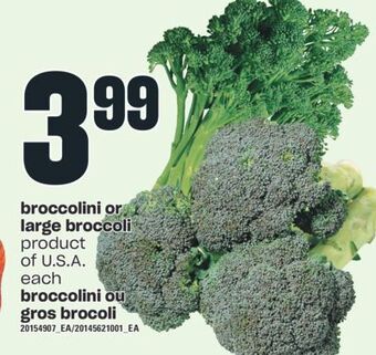 Valu-mart Broccolini ou gros brocoli offer