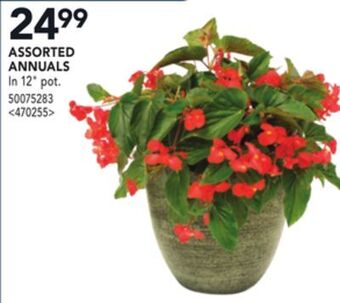RONA Assorted annual offer