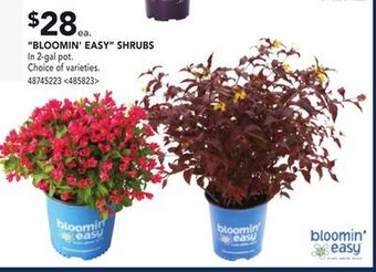 RONA Bloomin' easy shrubs offer